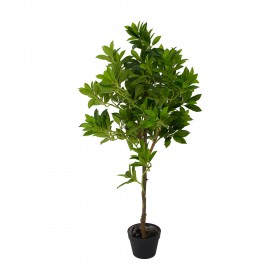 Искусственные растения Дерево счастья MK-7406-FT Темно-зеленый в Тевризе - tevriz.katalogmebeli.com | фото
