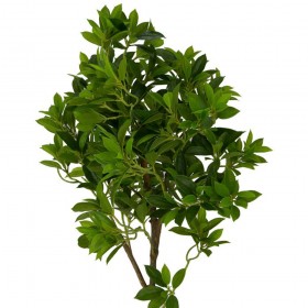 Искусственные растения Дерево счастья MK-7406-FT Темно-зеленый в Тевризе - tevriz.katalogmebeli.com | фото 3