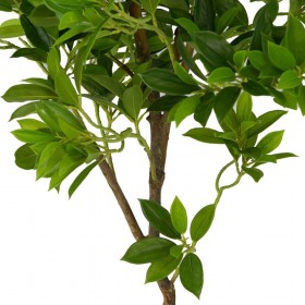 Искусственные растения Дерево счастья MK-7406-FT Темно-зеленый в Тевризе - tevriz.katalogmebeli.com | фото 4