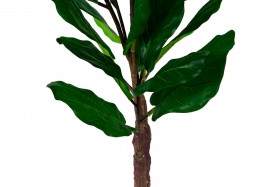Искусственные растения Фикус лирата MK-7407-FC Темно-зеленый в Тевризе - tevriz.katalogmebeli.com | фото 2