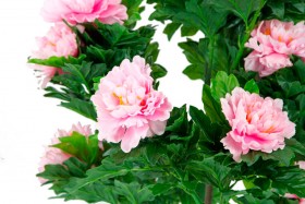 Искусственные растения Пион розовый MK-7411-HP Темно-зеленый в Тевризе - tevriz.katalogmebeli.com | фото 2