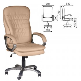 Кресло офисное BRABIX Omega EX-589 в Тевризе - tevriz.katalogmebeli.com | фото
