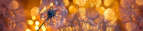 Кухонный фартук Мерцание Одуванчики золотистые 3 серебро в Тевризе - tevriz.katalogmebeli.com | фото