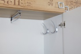 Шкаф для одежды «Оксфорд» (Ривьера/Белый с рисунком) в Тевризе - tevriz.katalogmebeli.com | фото 7