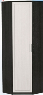 Шкаф для одежды угловой ДЛЯ ГОСТИНОЙ ШОУ-695 Венге/Дуб выбеленный в Тевризе - tevriz.katalogmebeli.com | фото