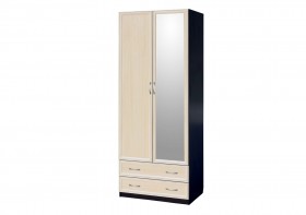 Шкаф для платья и белья 2-х дверный с профилем МДФ с 1 зеркалом Венге/Дуб выбеленный в Тевризе - tevriz.katalogmebeli.com | фото