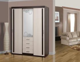 Шкаф комбинированный "Арго" (зеркало с пескоструем) в Тевризе - tevriz.katalogmebeli.com | фото