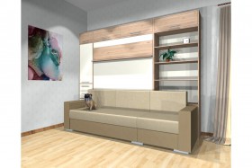 Шкаф-кровать с диваном Каролина в Тевризе - tevriz.katalogmebeli.com | фото 4
